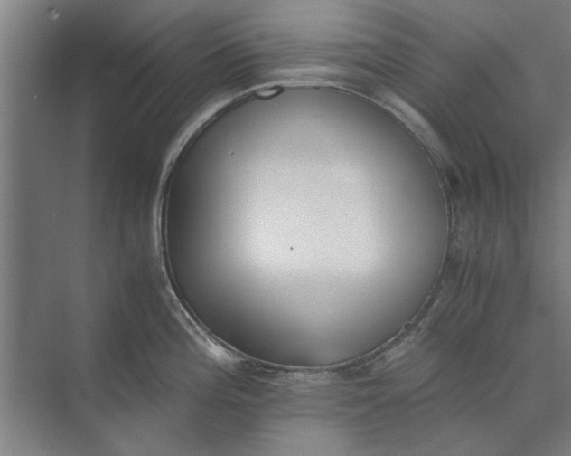 X0000073841196200608241009