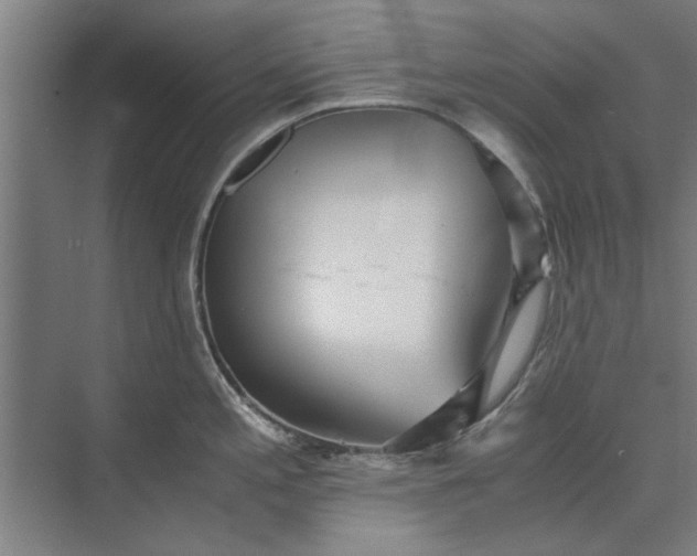 X0000073841197200608241008