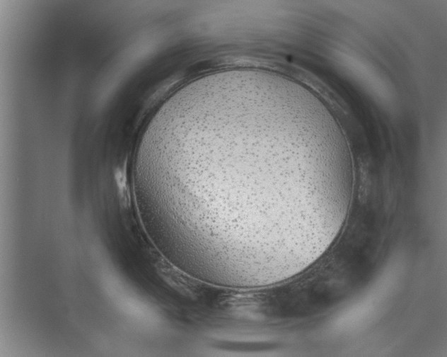 X0000073841198200608241008