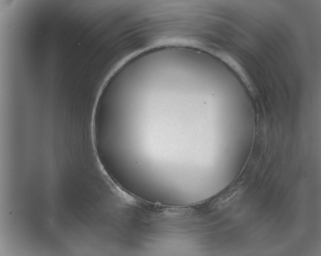 X0000073841199200608241008