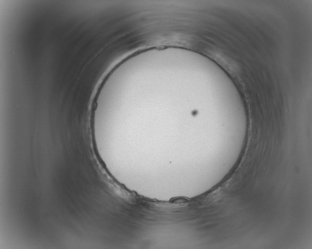 X0000073841200200608241008