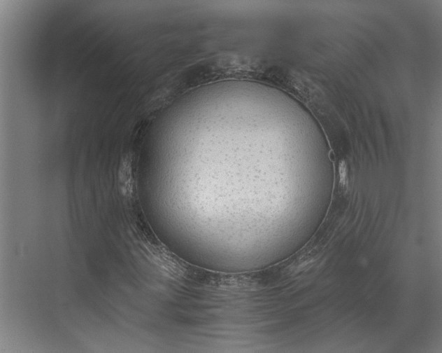 X0000073841203200608241008