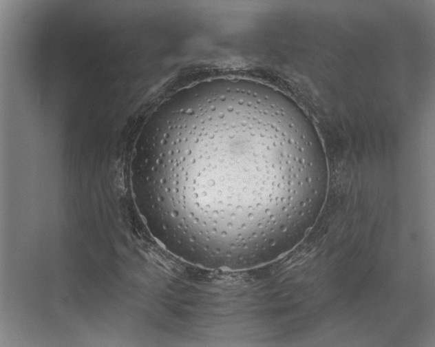 X0000073841205200608241008