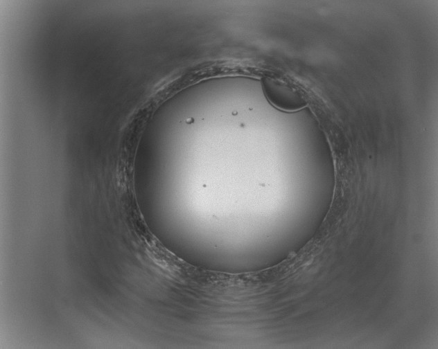 X0000073841207200608241008