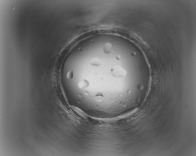 X0000073841208200608241008