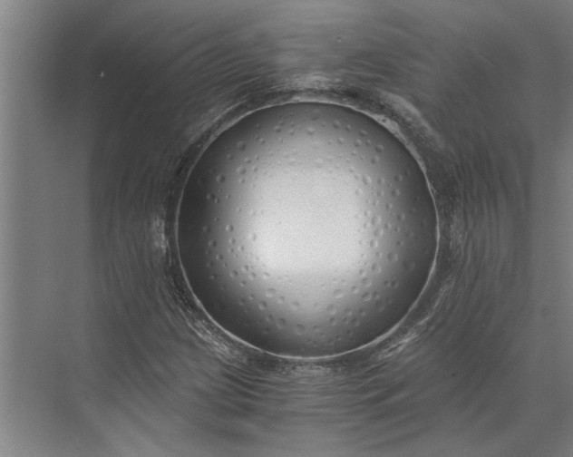 X0000073841209200608241008