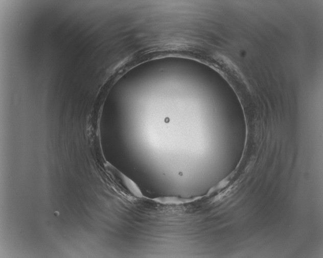 X0000073841210200608241008