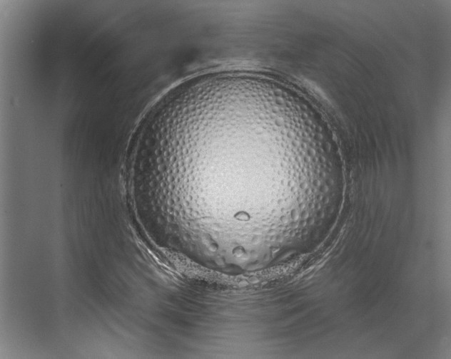 X0000073841212200608241008