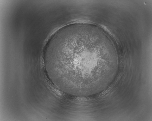 X0000073841215200608241008