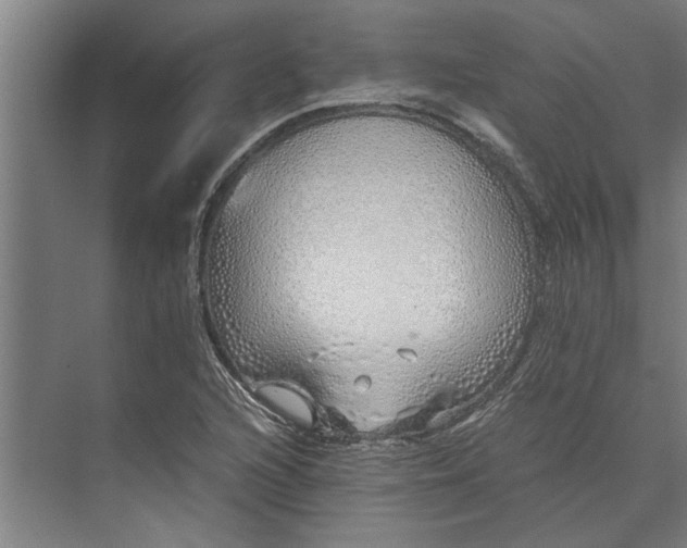 X0000073841216200608241008