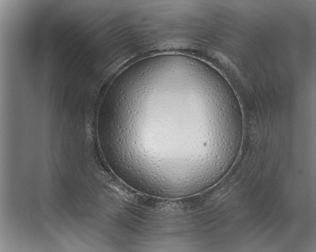 X0000073841217200608241008