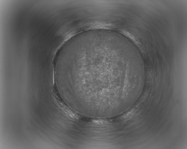 X0000073841219200608241008