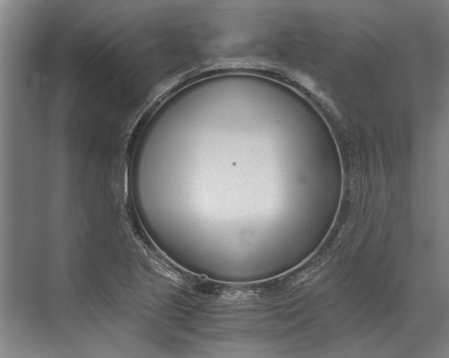 X0000073841221200608241008