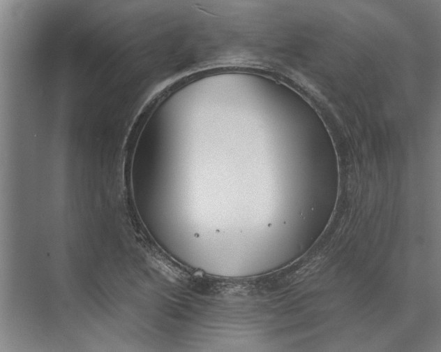 X0000073841222200608241008