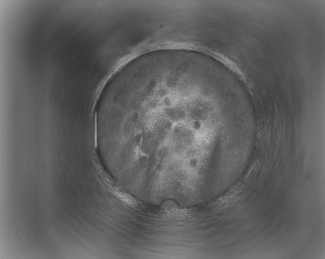 X0000073841223200608241008