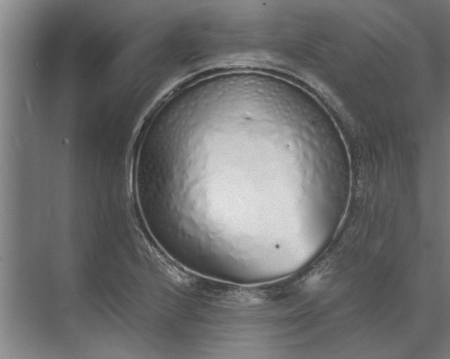 X0000073841224200608241008