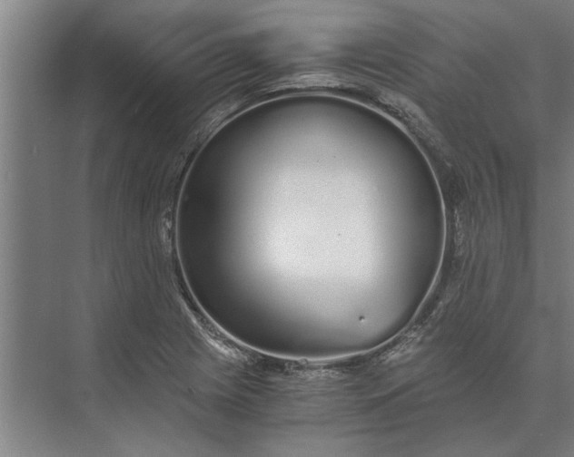 X0000073841225200608241008