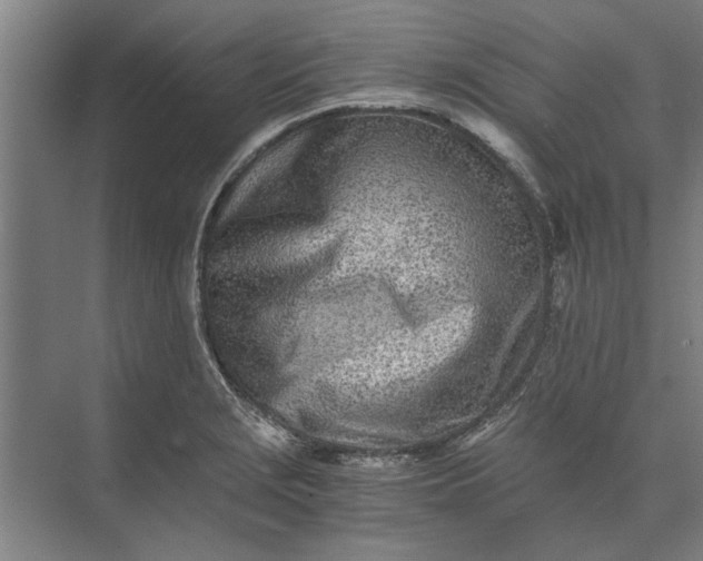 X0000073841229200608241008