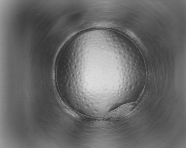 X0000073841232200608241008