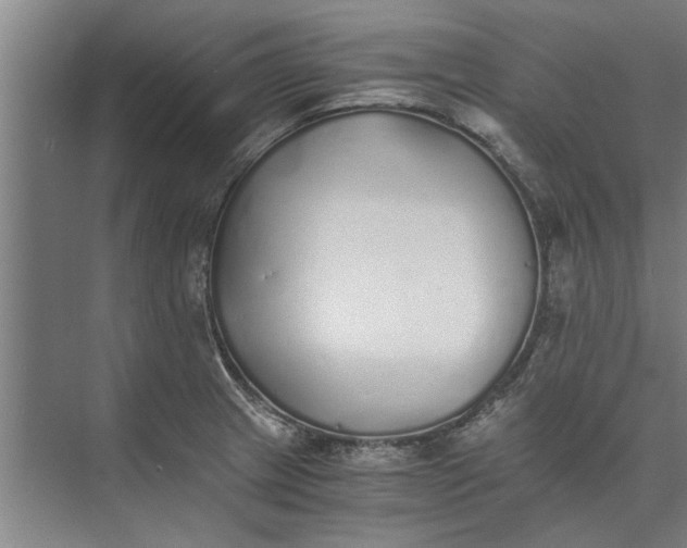 X0000073841233200608241008