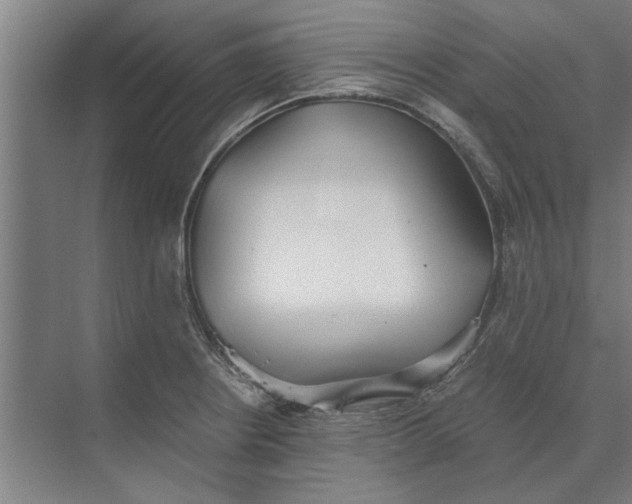 X0000073841234200608241008