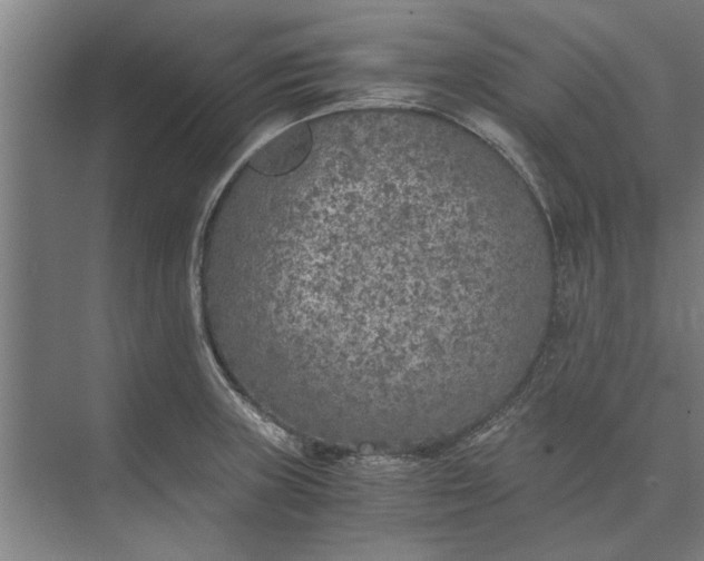 X0000073841235200608241008