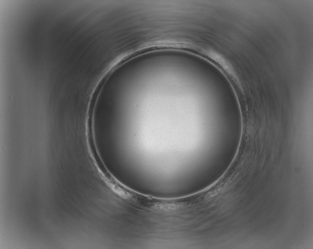 X0000073841237200608241008