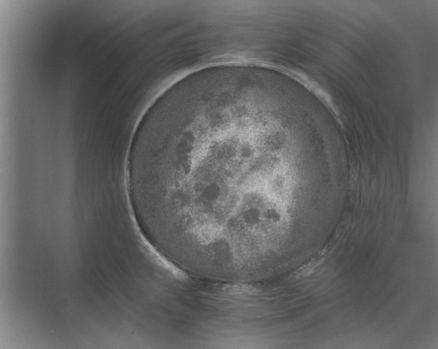 X0000073841239200608241008