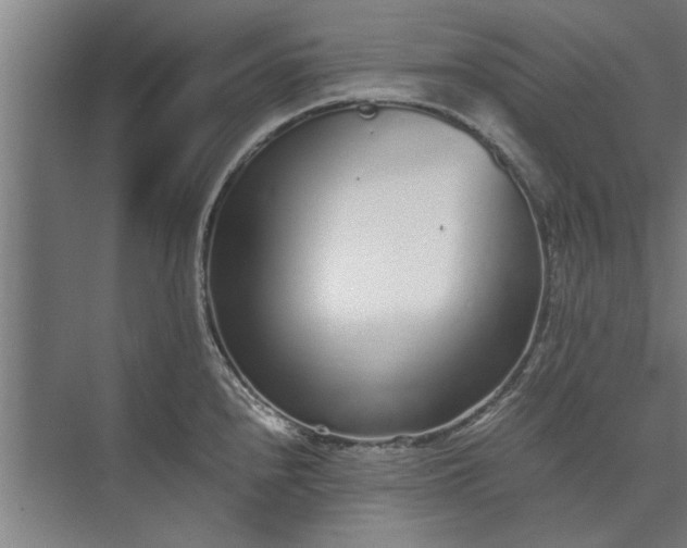 X0000073841240200608241008