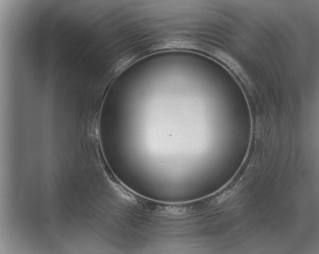 X0000073841241200608241008