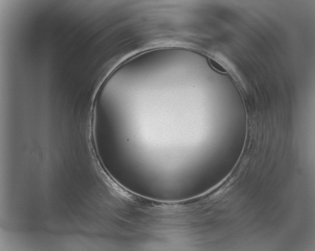 X0000073841244200608241008