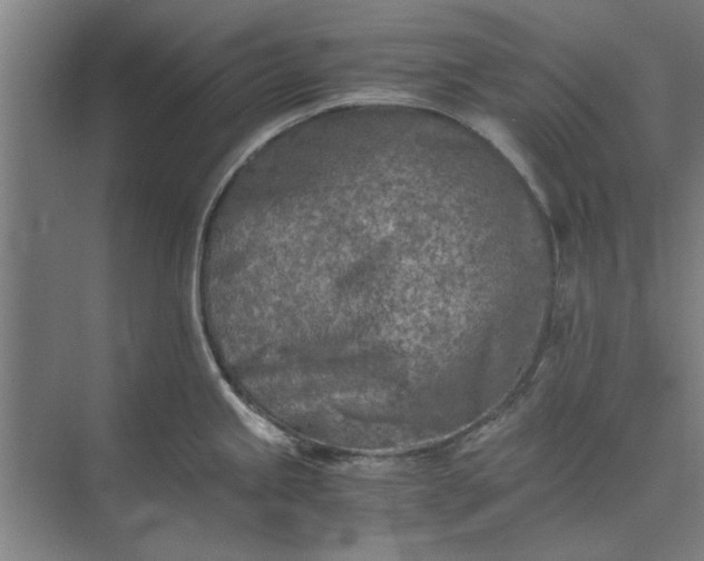 X0000073841245200608241008