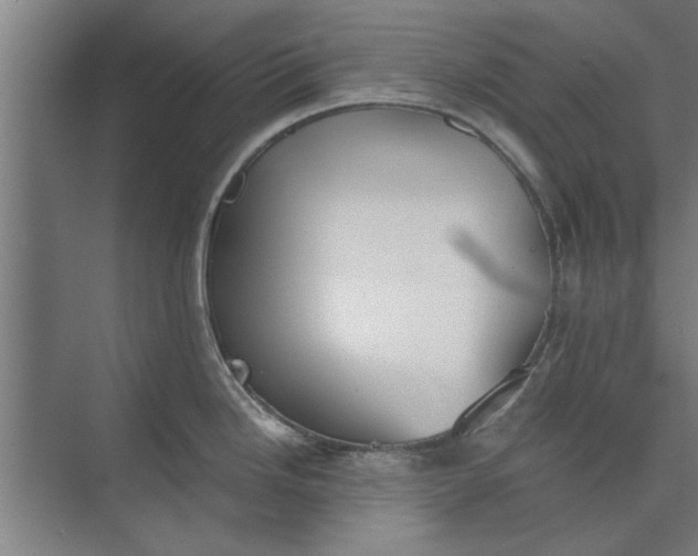 X0000073841246200608241008