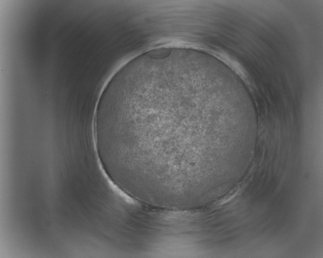 X0000073841247200608241008