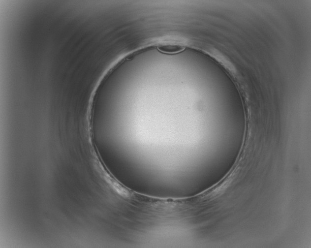 X0000073841248200608241008