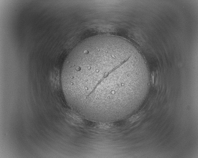 X0000073841251200608241008