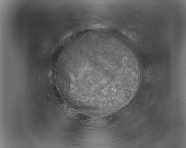 X0000073841254200608241008