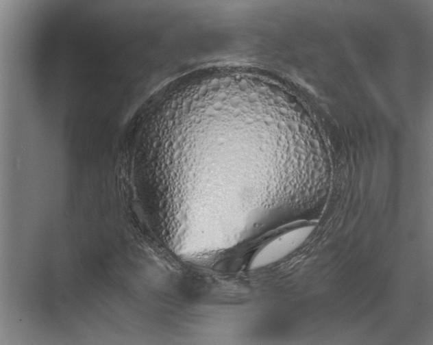 X0000073841255200608241008