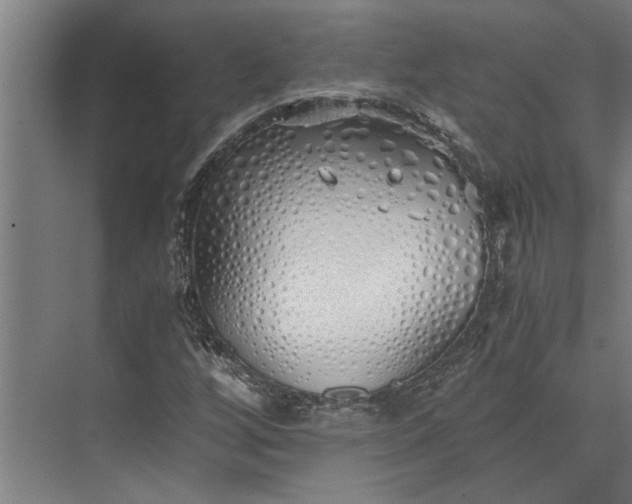 X0000073841256200608241007