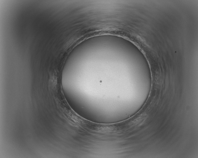 X0000073841257200608241007