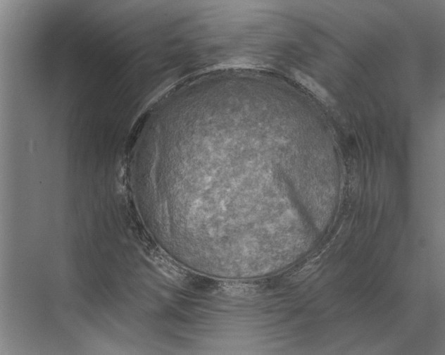 X0000073841258200608241007