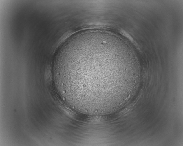 X0000073841259200608241007