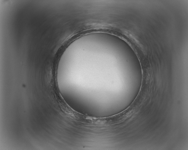 X0000073841261200608241007