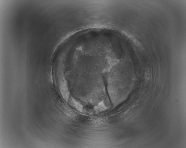 X0000073841262200608241007