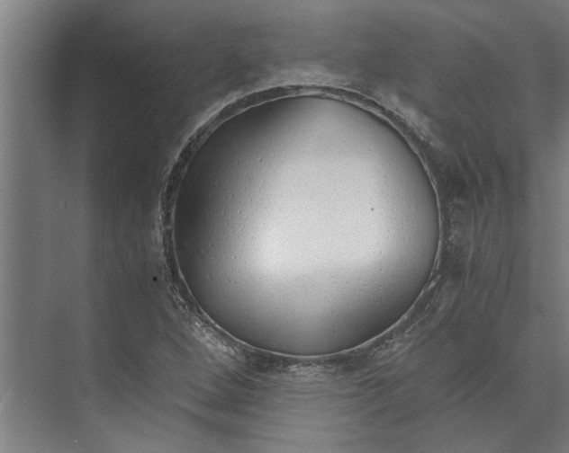 X0000073841264200608241007