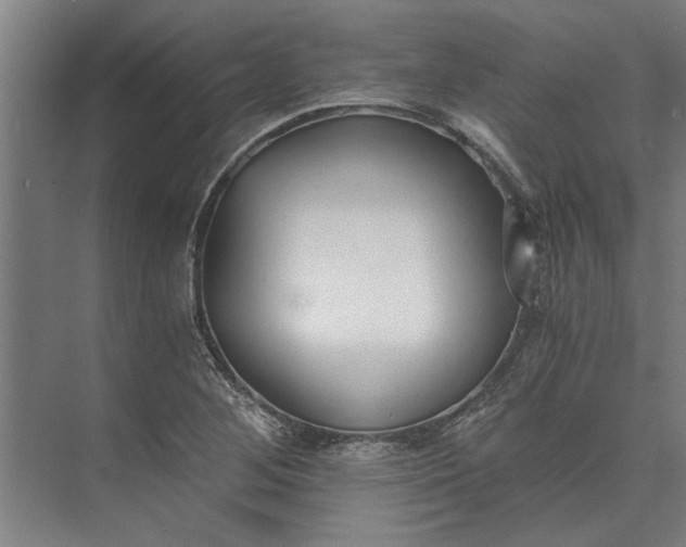 X0000073841268200608241007