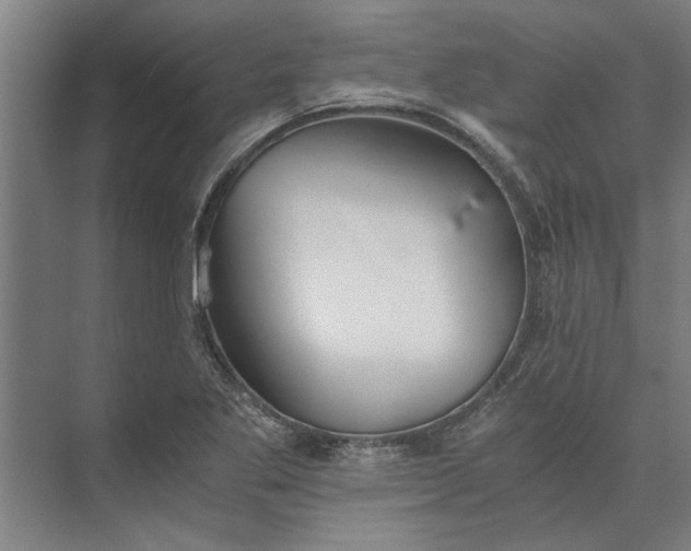 X0000073841269200608241007