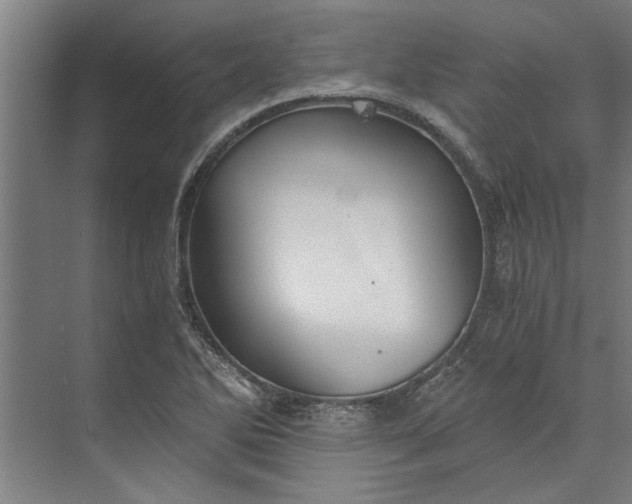 X0000073841270200608241007