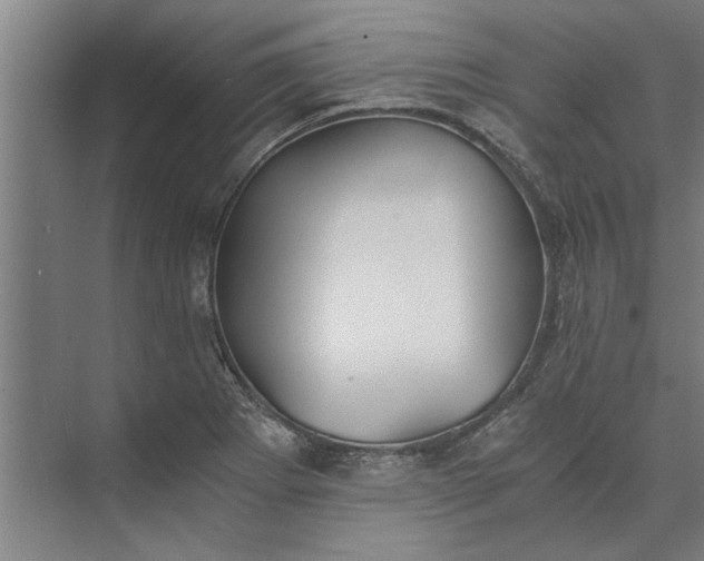 X0000073841273200608241007