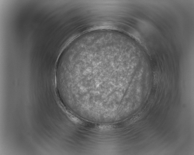 X0000073841274200608241007